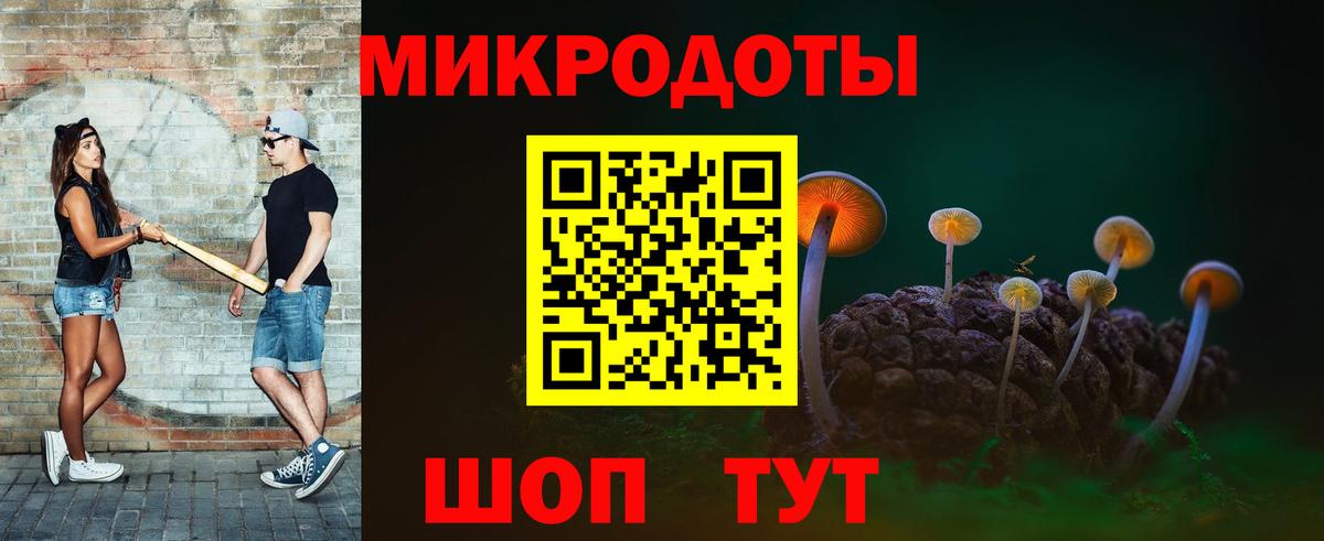 Семилуки  Псилоцибиновые грибы MAGIC MUSHROOMS  Вход с VPN  Псилоцибиновые грибы Psilocybine cubensis 